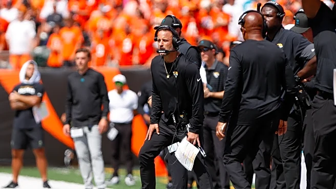 Which candidate do you want to be the Arizona Cardinals next head coach?