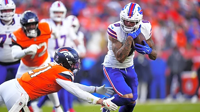 Hawks in the NFL: Divisional Round