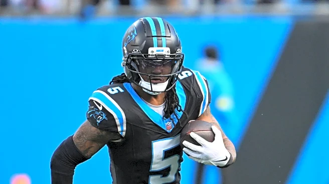 Panthers season in review: The rushing offense