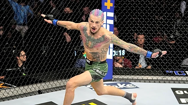 Sean O’Malley vs. Song Yadong: Odds, full fight preview and prediction | UFC 324