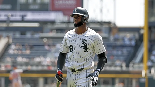 Grading the Luis Robert Jr. trade