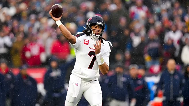 Houston Texans Position Outlook: Quarterback