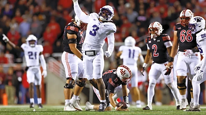 2025 TCU Football Season Recap: Leading sacker Kaleb Elarms-Orr paces linebackers