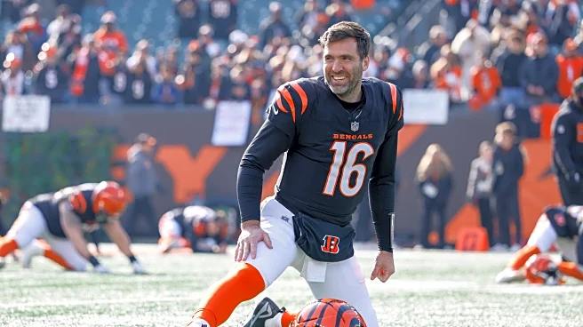 Bengals News (1/23): The future of Joe Flacco