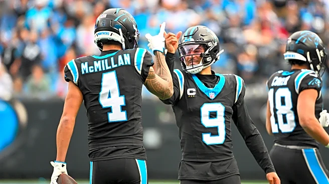 Panthers season in review: The passing offense