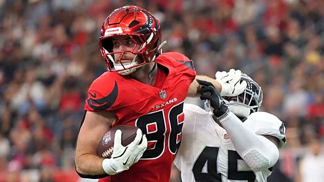 Houston Texans – Top 3 Offseason Targets