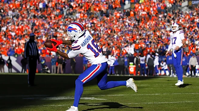 Dawgs in the NFL: And then there were four