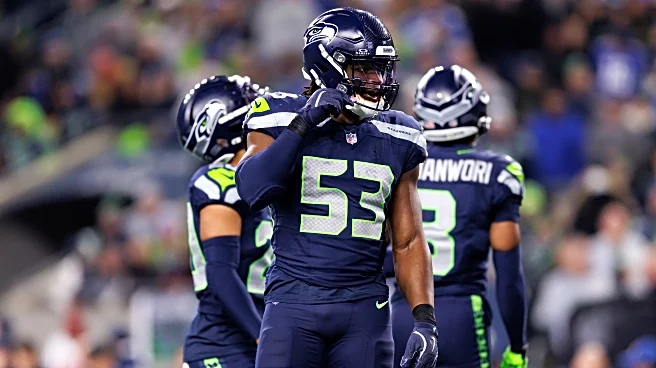 Minnesota Golden Gophers in the NFL: Divisional Playoffs