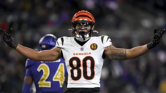 Possible Bengals Draft Targets & Offseason News: OBI Podcast