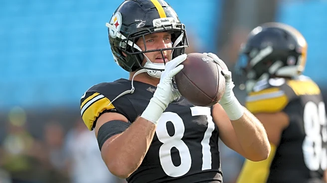Steelers sign veteran tight end