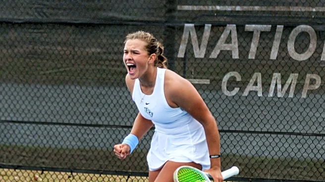 KnightCap: Spring Has Sprung