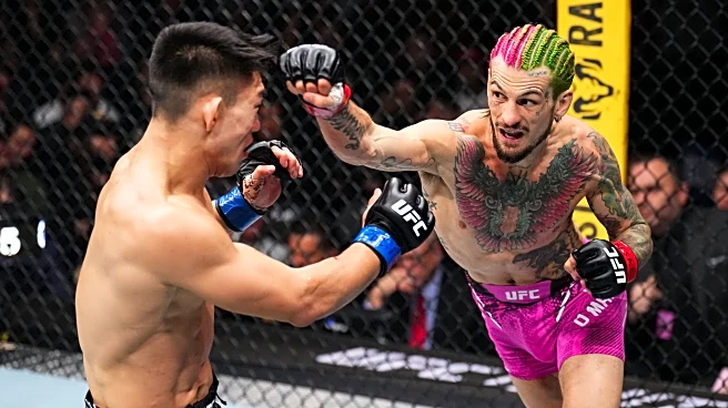 Sean O’Malley vs. Song Yadong full fight video highlights