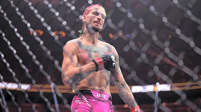 ‘Anything important happened?’: Petr Yan, pros react to Sean O’Malley earning nod over Song Yadong at UFC 324