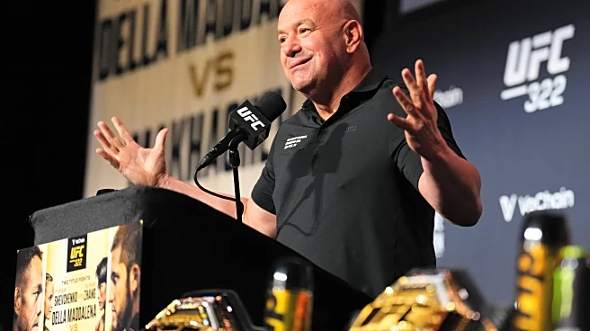 Dana White addresses ad avalanche during UFC 324: ‘It’s $8.99’