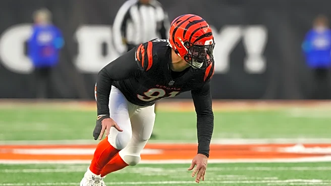 Should the Chicago Bears sign Trey Hendrickson in Free Agency?