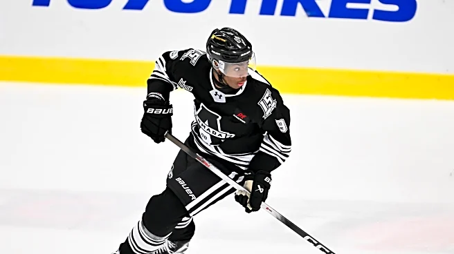 Penguin Prospect Update: January 2026