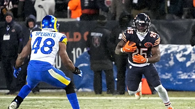 The Bear’s Den, January 28, 2025