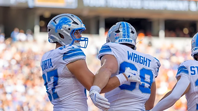 2026 is a pivotal offseason for Detroit Lions tight ends