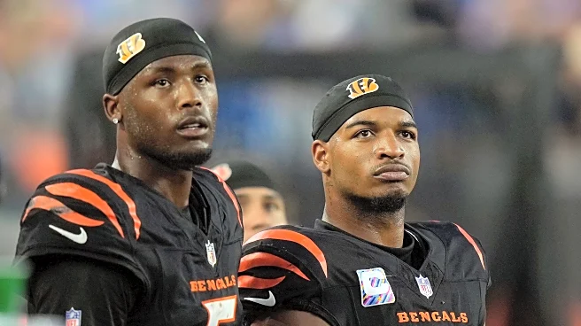 Tee Higgins replaces Zay Flowers on 2026 Pro Bowl roster