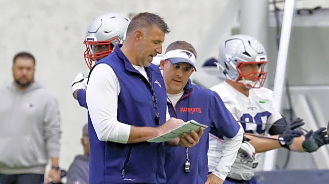 Mike Vrabel relying on ultra-experienced assistant in Super Bowl prep