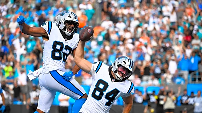 Adding Teeth to the Bite: Panthers Roster Holes in the Tight End Room