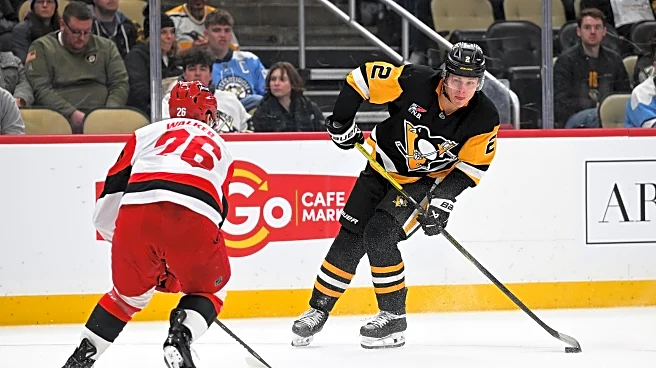 Penguins recall forward Rutger McGroarty