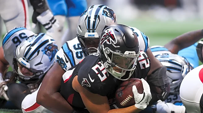 Panthers season in review: The run defense