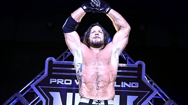 AJ Styles should finish his career in TNA