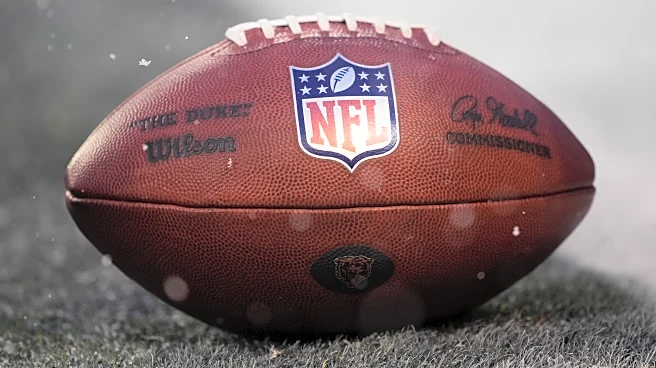 The Bear’s Den, January 30, 2025