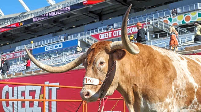 Longhorns Daily News: Texas football reportedly expected to hire Kevin Mashak as new director of scouting