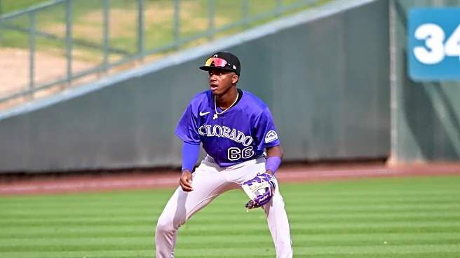 Colorado Rockies prospects: No. 20, Ashly Andujar