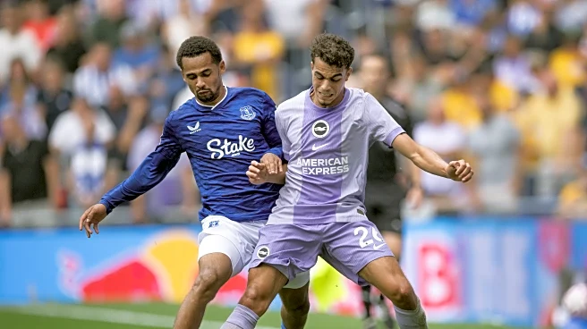 Brighton vs Everton: Match Preview | Will Toffees maintain fine run at the Amex