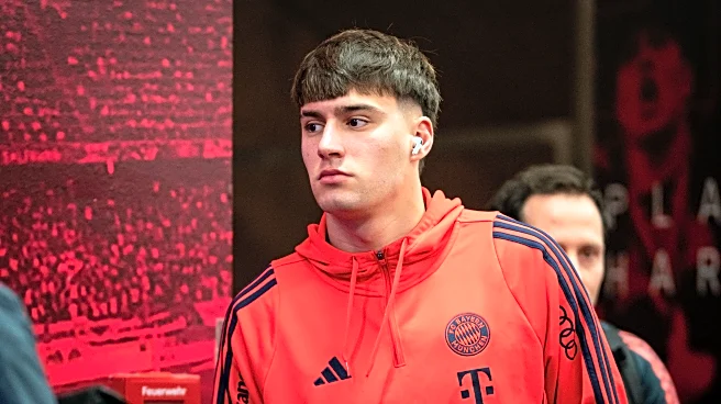 Bayern Munich’s Javier Fernández headed to FC Nürnberg