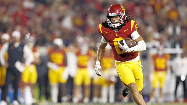 Minnesota Vikings News and Links: What Happens Now?