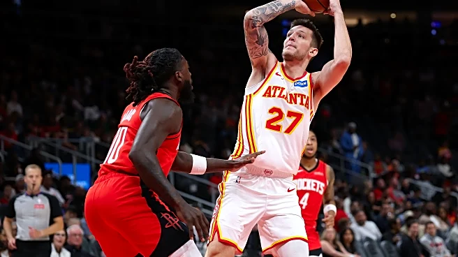 Blazers Acquire Vit Krejci from Hawks