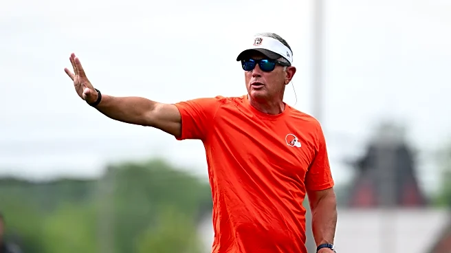 Browns DC Jim Schwartz should be given an ultimatum