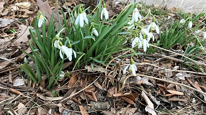 Arizona Diamondbacks: February confidence poll