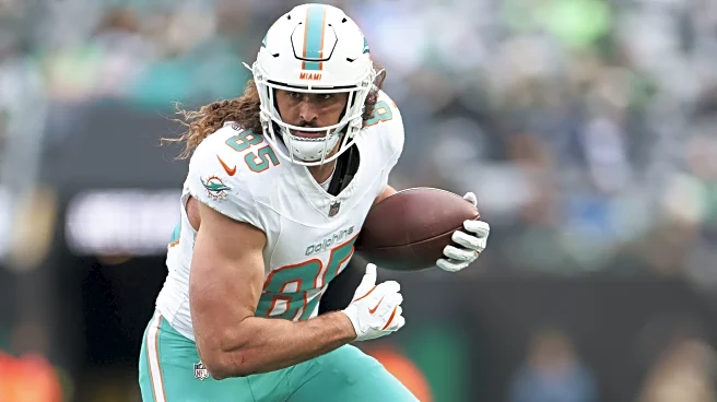 Grading the Dolphins tight ends – The Splash Zone 2/2/26