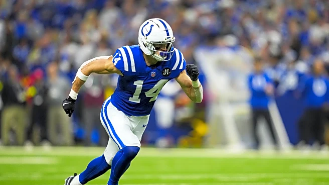 Fleur-de-Links, February 2: Could the Saints sign Colts WR in free agency?