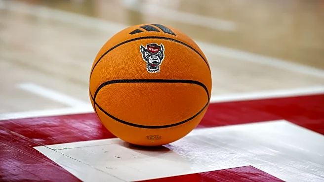 NET: Snapshot – Groundhog Day Edition