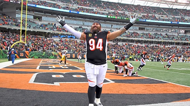 Former Bengals standout Domata Peko accepts coaching job with Steelers