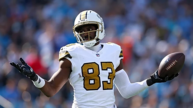 2025 Saints player review: TE Juwan Johnson