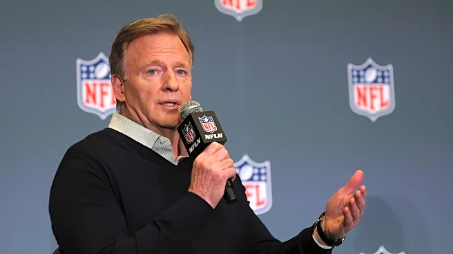 Roger Goodell: NFL will ‘look at all the facts’ in Steve Tisch-Jeffrey Epstein matter