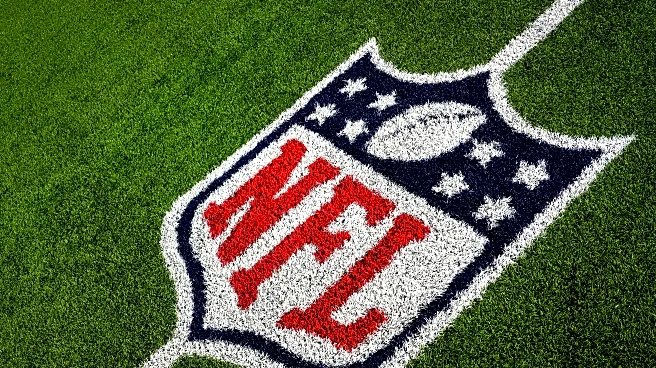 NFL has a troubling championship diversity problem