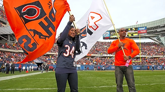 The Bear’s Den, 16 Pluviôse, 234