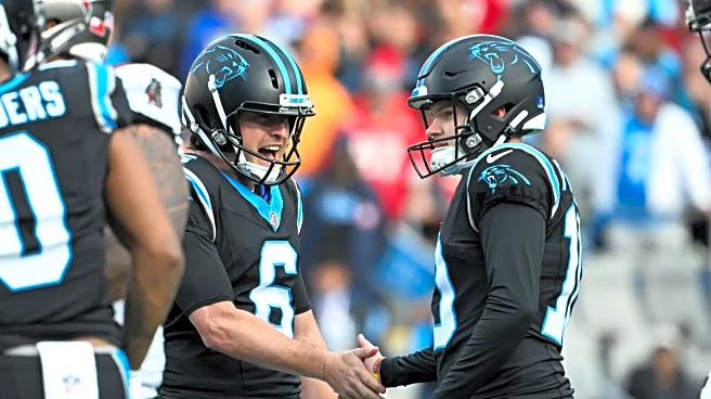 Panthers season in review: The special teams