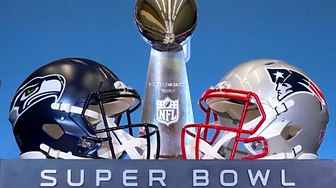 Jaguars Reacts Survey: Who Will Win the Super Bowl?