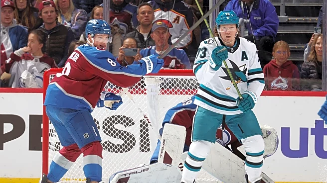 Preview: Sharks and Avs before the Olympics