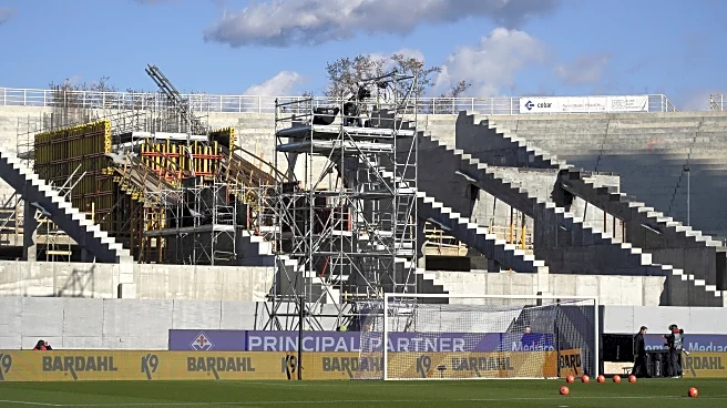 Fiorentina’s winter mercato didn’t make the team better on the pitch