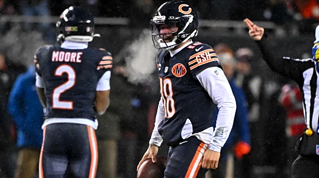 Bears Over Beers: Offseason Goals, New Stadium Talk